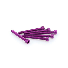 PUIG KIT VITI ANODIZZATE M6 PER CUPOLINI COLORE VIOLA 
