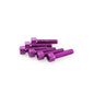 PUIG KIT VITI ANODIZZATE M6 PER CUPOLINI COLORE VIOLA 