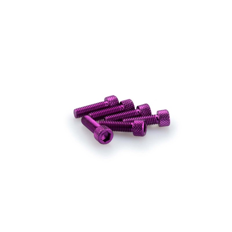 PUIG KIT VITI ANODIZZATE M6 PER CUPOLINI COLORE VIOLA 