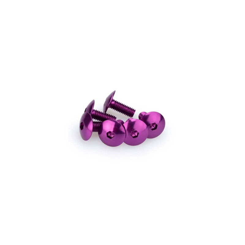 PUIG KIT VITI ANODIZZATE M6 PER CUPOLINI COLORE VIOLA 