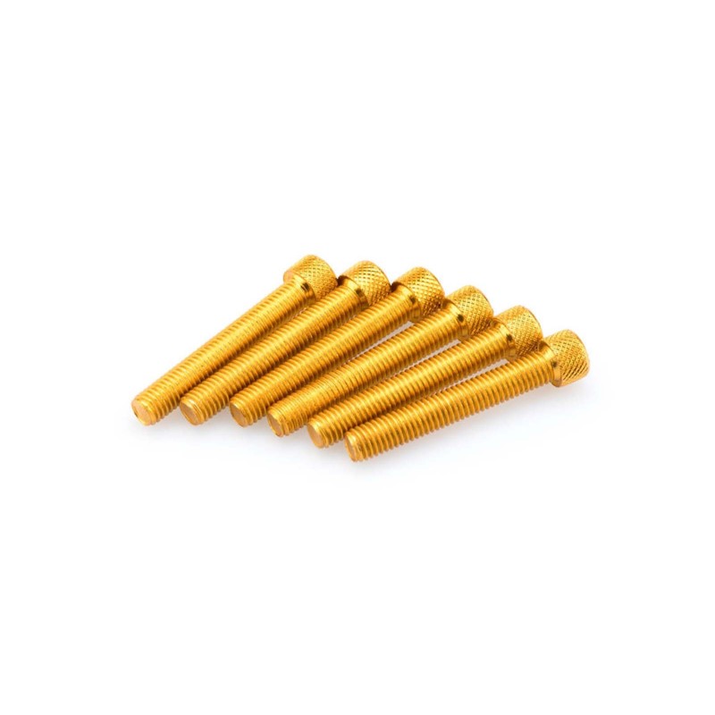 PUIG KIT VITI ANODIZZATE M8 PER CUPOLINI COLORE GIALLO 