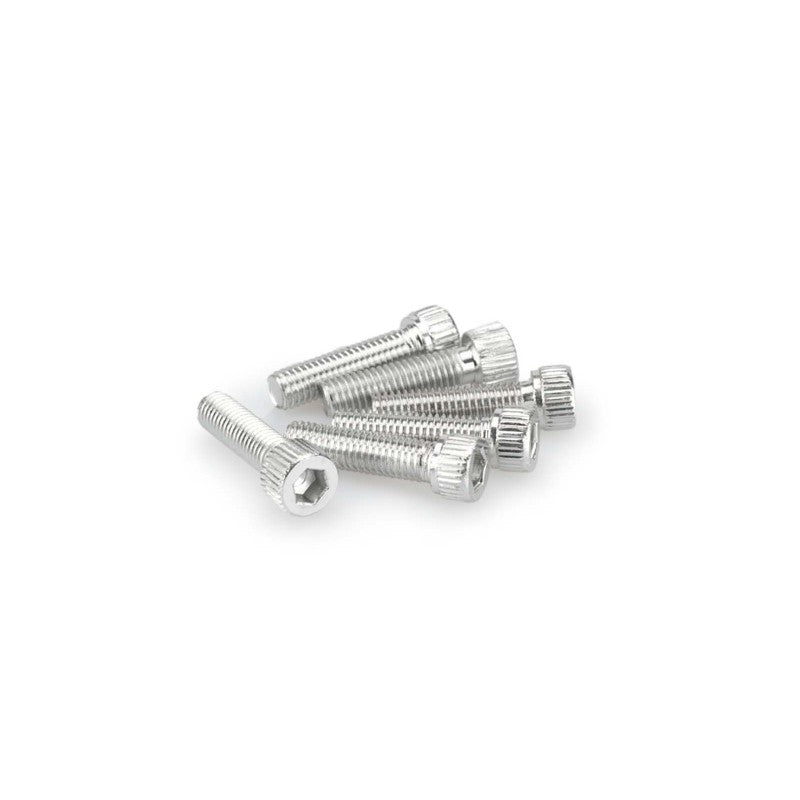 PUIG KIT VITI ANODIZZATE M8 PER CUPOLINI COLORE SILVER 