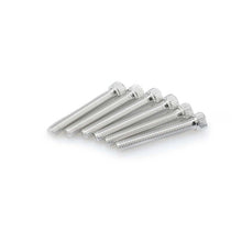Carica l'immagine nel visualizzatore di Gallery, PUIG KIT VITI ANODIZZATE M8 PER CUPOLINI COLORE SILVER 