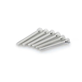 PUIG KIT VITI ANODIZZATE M8 PER CUPOLINI COLORE SILVER 