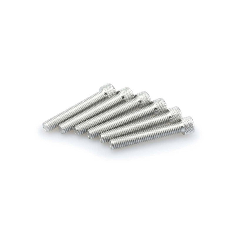 PUIG KIT VITI ANODIZZATE M8 PER CUPOLINI COLORE SILVER 