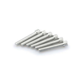 PUIG KIT VITI ANODIZZATE M8 PER CUPOLINI COLORE SILVER 
