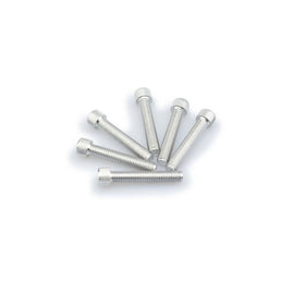 PUIG KIT VITI ANODIZZATE M8 PER CUPOLINI COLORE SILVER 
