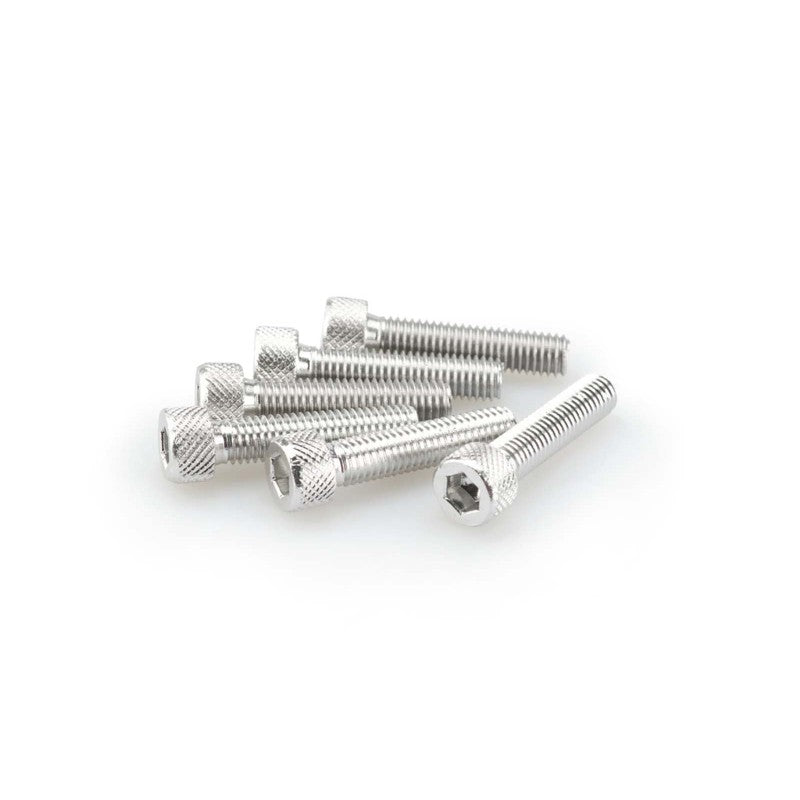 PUIG KIT VITI ANODIZZATE M8 PER CUPOLINI COLORE SILVER 